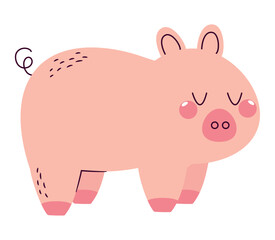 flushed pig design