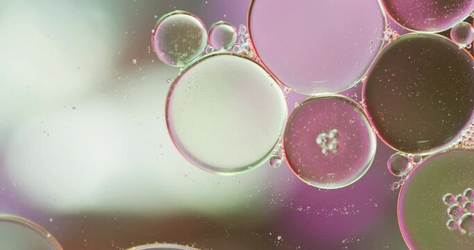 Animation of bubbles moving on white and pink background with copy space
