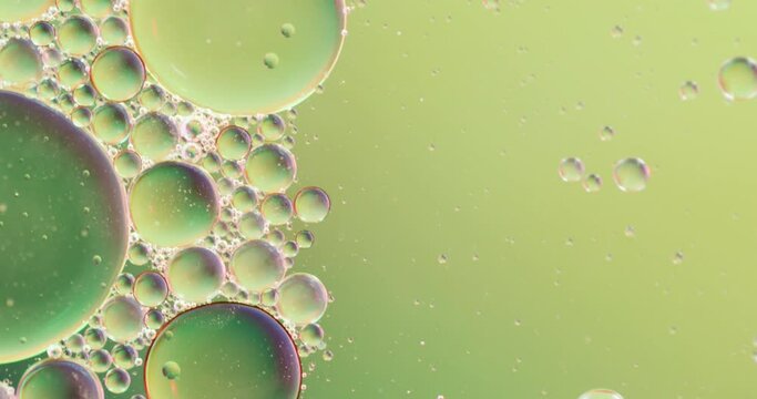 Animation of bubbles moving on green background with copy space