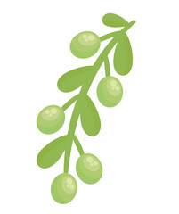olive branch design