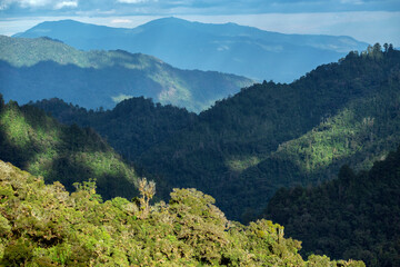 Paisaje pictórico de montañas con luz filtrada en la Sierra Madre Occidental de México