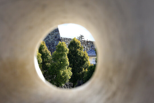 Hackbut Bilder – Durchsuchen 2,563 Archivfotos, Vektorgrafiken und ...