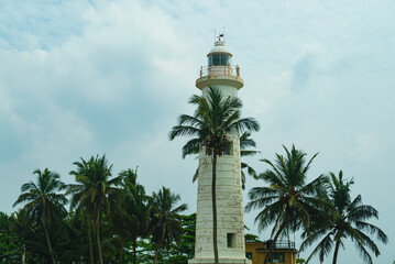 Fototapeta na wymiar Old white sea lighthouse among palm trees 