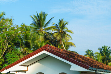 Roof of a house made of tiles and palm trees against the sky