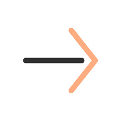 Essential and Interface Icon in Two Tone Style