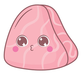 kawaii salmon steak