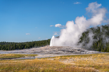 Old Faithful geyser erupting, Yellowstone National Park.