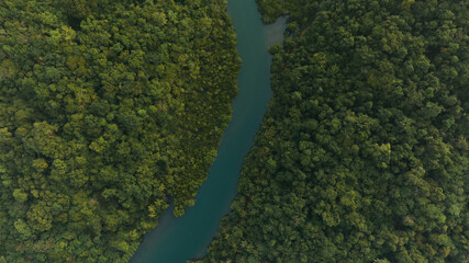 Aerial view of dark green forest and river. Rich natural ecosystem of rainforest. concept of natural forest conservation