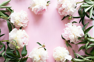 White peonies on a pink background. Free space for your inscription. Beautiful holiday card. Mother's Day. Love and romantic concept