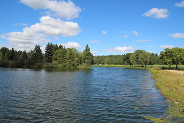 lake in the woods