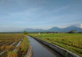 Fototapeta na wymiar The view of mountains, rice field, trees and blue sky in asia. Nature background.