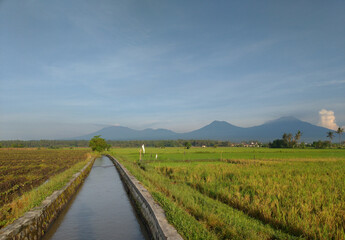 Fototapeta na wymiar The view of mountains, rice field, trees and blue sky in asia. Nature background.