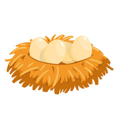 four chicken eggs in nest