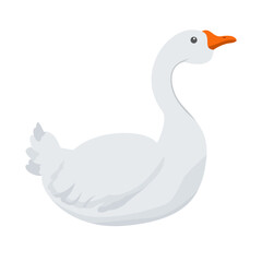  white goose sitting