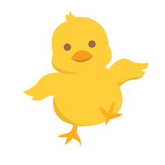 one baby yellow chick on white