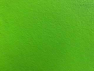 Naklejka na ściany i meble fresh green wall photo as background and texture