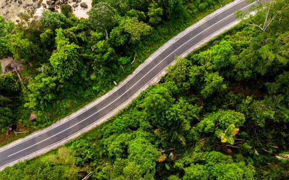 Aerial view of empty road with green forest © Johnster Designs