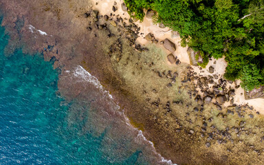 Aerial shot of beach with rocks and trees