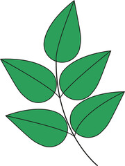 green leaves with branch illustration