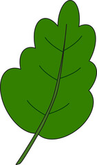 green leaf illustration with isolate background