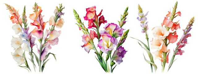 Watercolor Gladiolus Flowers. Generative AI - obrazy, fototapety, plakaty