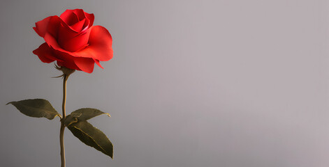 Red rose with space to write nice message, Ai