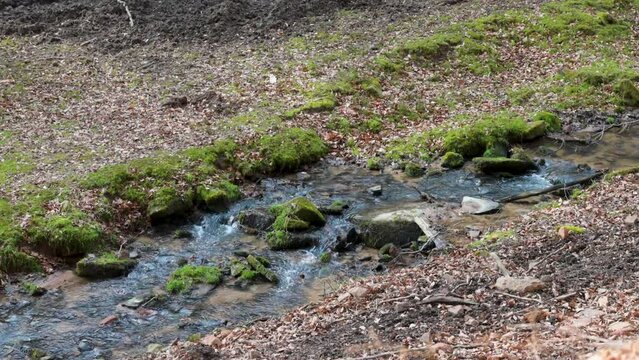 Idyllic river with flowing water stream in the woods, rocks in the water, sourrounded by grass, Brudergrund, Erbach