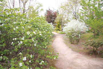 洋風庭園の花々