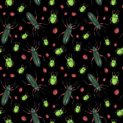 Seamless pattern realistic beetles insect isolated on white background. Watercolor hand drawn animal bugs llustration