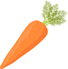 人参_野菜_ベクターイラスト