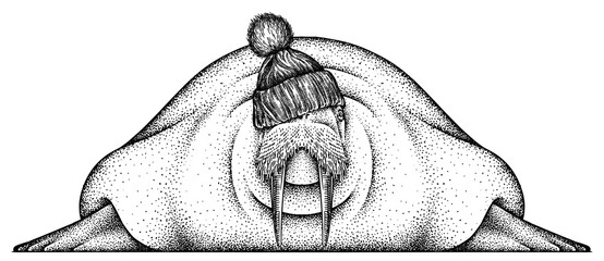 Vintage engrave isolated walrus set dressed fashion  illustration ink costume sunglasses sketch. Sea seal background arctic glasses hipster hat art