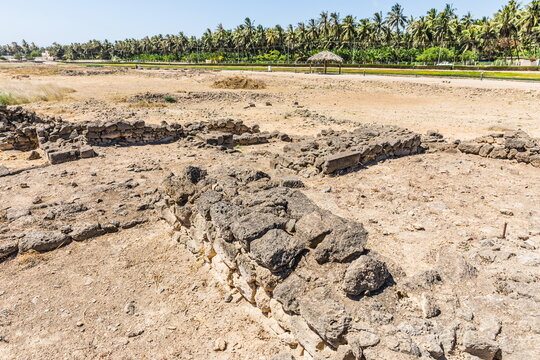 Balid Bilder Durchsuchen 56 Archivfotos, und Videos