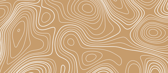 Topographic map background with space for copy. Line topography map contour golden background 