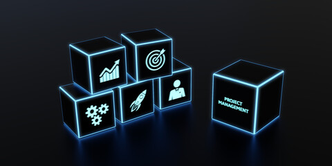 Project management concept. Business, Technology, Internet and network concept. 3d illustration