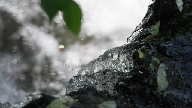 Clear spring water flowing over the rocks