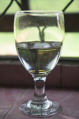 a glass of white water on the ceramics near window
