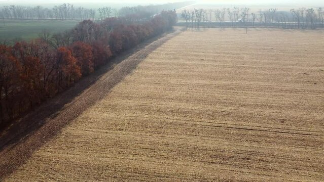 Large yellow field after wheat harvest, trees, dirt road, field with green agricultural plants, highway with moving cars on sunny autumn day. Aerial drone view. Agricultural agrarian landscape.