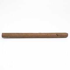 cigar infected by lasioderma serricorne isolated on white background