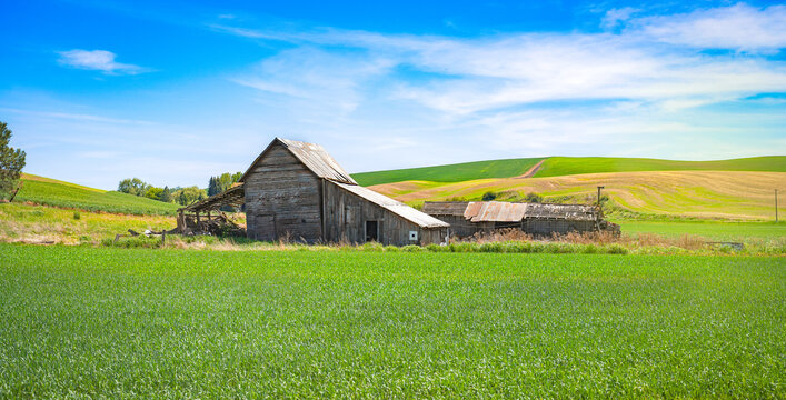 Landscape with an abandoned barn