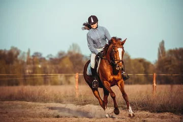 Foto auf Alu-Dibond Young woman athlete rides a horse. Jumping training in the spring in the field. © sergo321