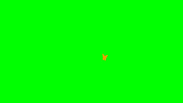 Animated orange butterfly flies. Looped video. Summer and spring concept. Vector illustration isolated on green background.