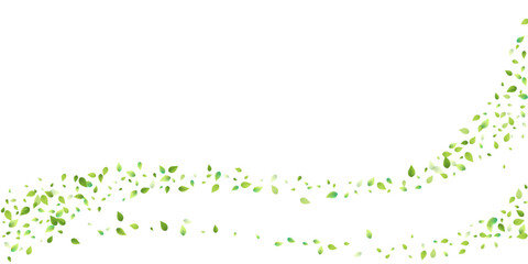 Leaves Green Falling Flying Foliage Leaf Tea Mint