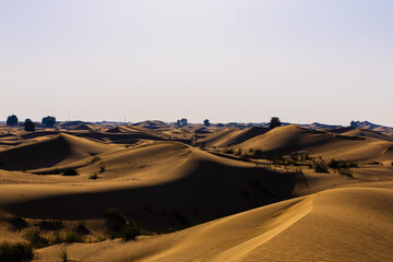Fototapeta na wymiar Golden Sand Dune Desert Landscape. Beautiful view of sand dunes in the Al Qudra Desert, Dubai, UAE.