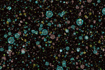 Realistic soap bubbles of various sizes with rainbow colors on black background