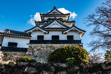 Fototapeta premium 国宝彦根城 
