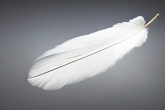 AI generated image of a single isolated white feather. A white feather is a symbol of peace, purity and innocence