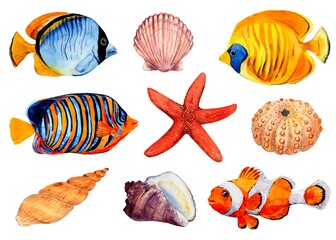 Watercolor set of seashells and fish on a white background. Inhabitants of coral reefs, tropical underwater animals. Bright elements for your menu, packaging, textiles or summer design.