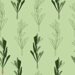 Seamless pattern of green rosemary leaves. Medicinal plant. A fragrant plant for seasoning. Rosemary herb for a design element.