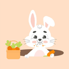Сute white easter bunny nibbles carrot in hole. Cartoon vector illustration.