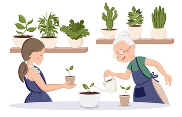 Cute grandmother and granddaughter are watering the sprouts together. Home garden, potted plants on shelves. Family hobby time. Home decor and gardening concept. Isolated vector illustration